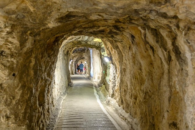 Gibraltar Inside Out Intermediate Tour 3.30hrs - Skywalk and the Barbary macaques