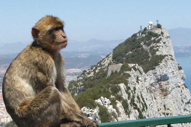 Gibraltar with St Michael Caves Guided Tour from Costa del Sol - Crossing into Gibraltar with the right documents