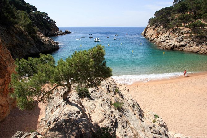 Girona & Costa Brava Small-Group Tour with Pickup from Barcelona - Transport, timing, and what to bring