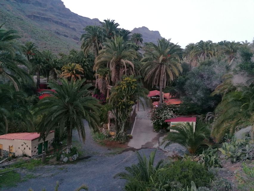 Gran Canaria: Camel Ride at Camel Safari Park - What Happens Before and After the Camel Ride