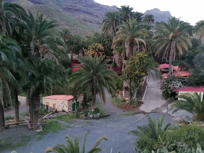 Gran Canaria: Camel Ride at Camel Safari Park - What the Experience Feels Like