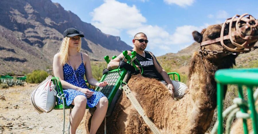 Gran Canaria: Camel Ride Safari w/ Optional Food & Transport - The camel briefing and the first nervous steps
