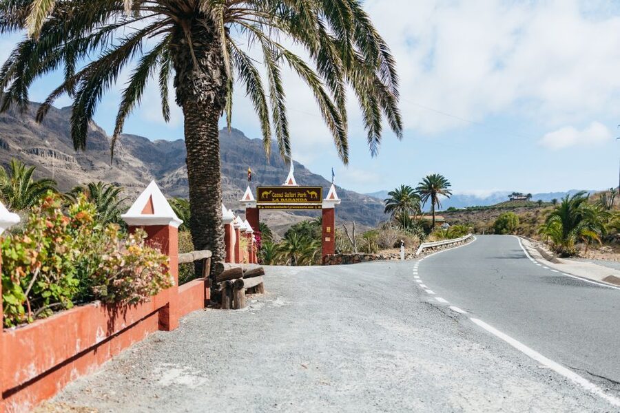 Gran Canaria: Camel Ride Safari w/ Optional Food & Transport - Meeting camels, donkeys, and the farm animals