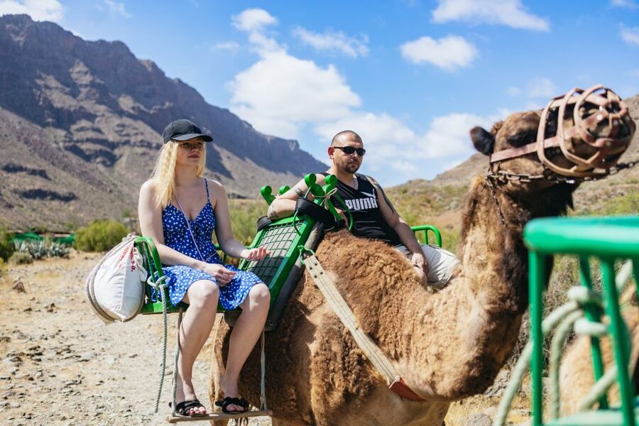 Gran Canaria: Camel Ride Safari w/ Optional Food & Transport - La Baranda: a small oasis rather than a huge theme park