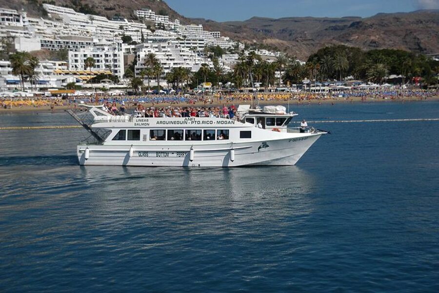 Gran Canaria: Dolphin and Whale Watching Cruise - FAQ
