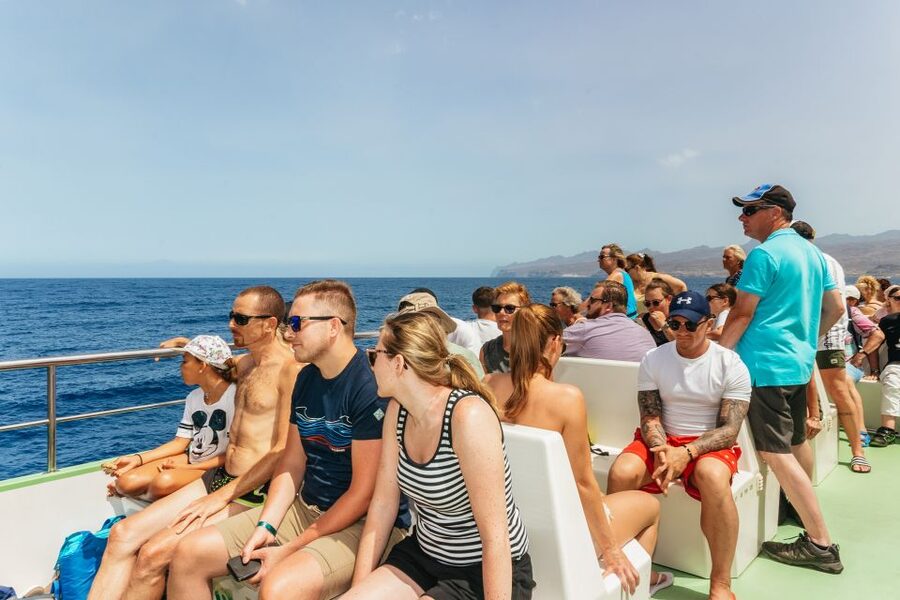 Gran Canaria: Dolphin and Whale Watching Cruise - A good family outing, with one important warning