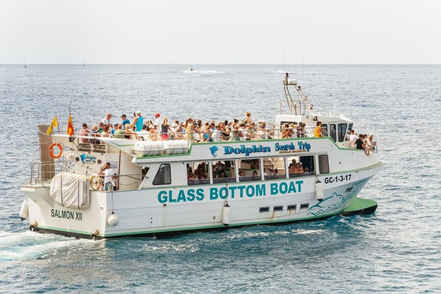Gran Canaria: Dolphin and Whale Watching Cruise - Photos, scenery, and realistic expectations