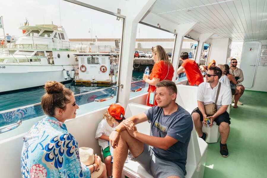 Gran Canaria: Dolphin and Whale Watching Cruise - A catamaran built for open water
