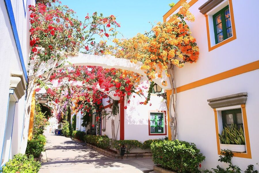 Gran Canaria: Full-Day Island Sightseeing Coach Tour - Agaete and Puerto de las Nieves: lunch with a view