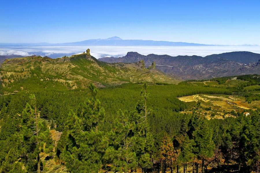 Gran Canaria: Full-Day VIP Tour by Bus - Lunch, timing, and the practical trade-offs