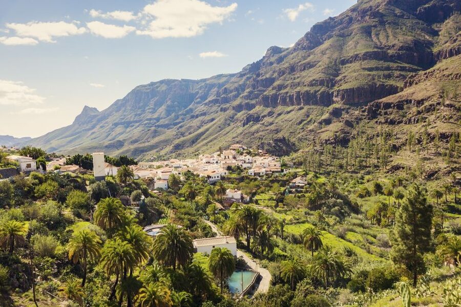 Gran Canaria: Full-Day VIP Tour by Bus - The aloe vera plantation visit