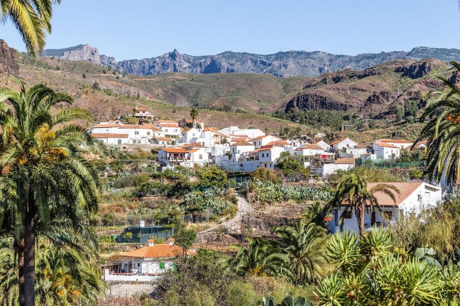 Gran Canaria: Full-Day VIP Tour by Bus - Roque Nublo and high mountain views