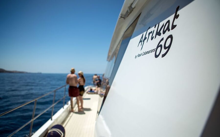 Gran Canaria: Fun Catamaran Cruise with Food and Drinks - Should you book the Afrikat catamaran cruise?