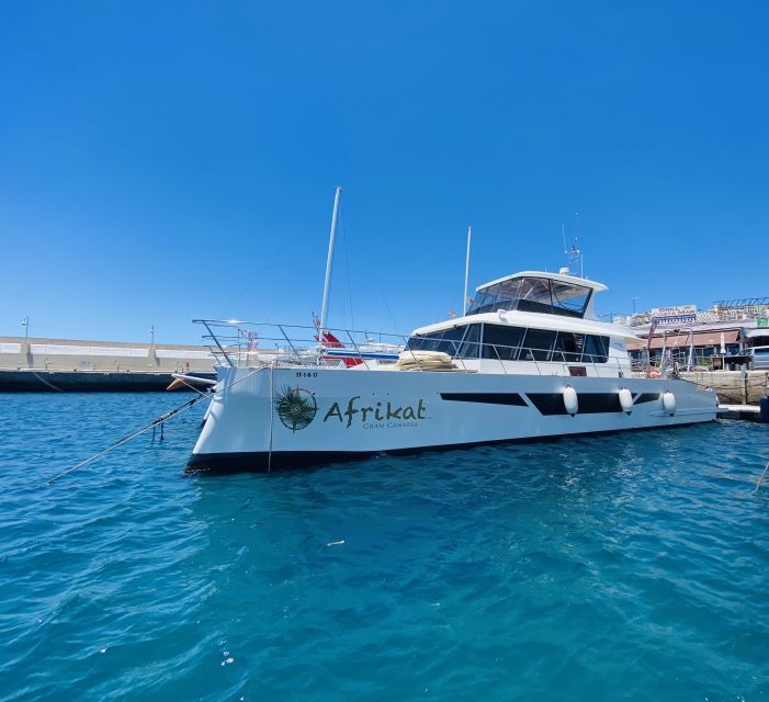 Gran Canaria: Fun Catamaran Cruise with Food and Drinks - Unlimited drinks and the real value of the price