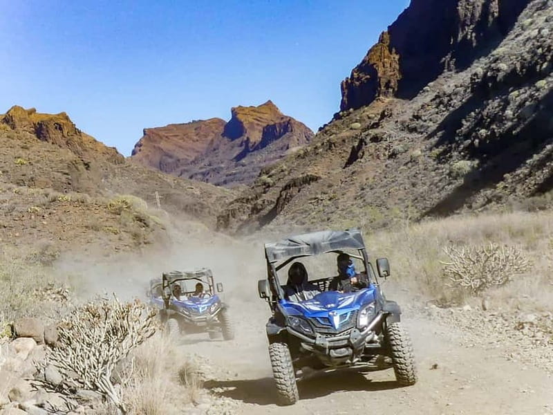 Gran Canaria Guided Buggy Tour - Price and what the $85 buys you