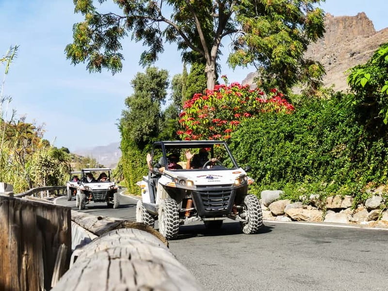 Gran Canaria Guided Buggy Tour - Canyons, villages, and the Fataga Valley