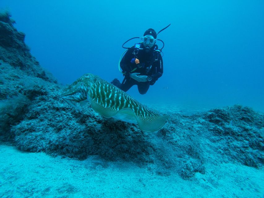 Gran Canaria: Try Scuba Diving for Beginners - Is $94 a fair price?