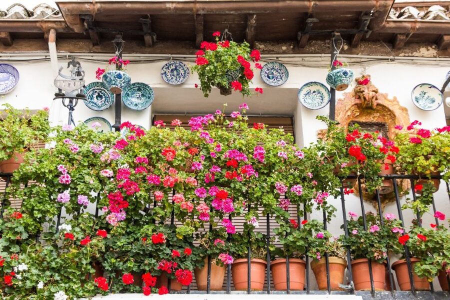 Granada: Albaicín and Sacromonte Walking Tour - Why this Granada walk is worth your time