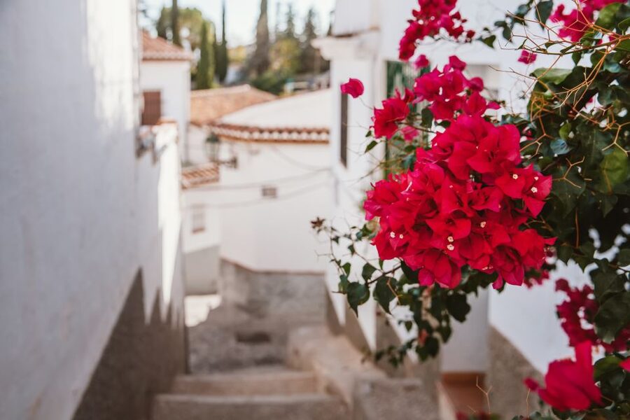 Granada: Albaicín and Sacromonte Walking Tour - Through Puerta de las Pesas and Plaza Larga