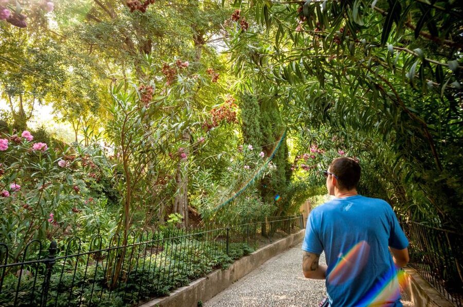 Granada: Alhambra Entry Ticket with Audio Guide - The good and bad of going without a live guide