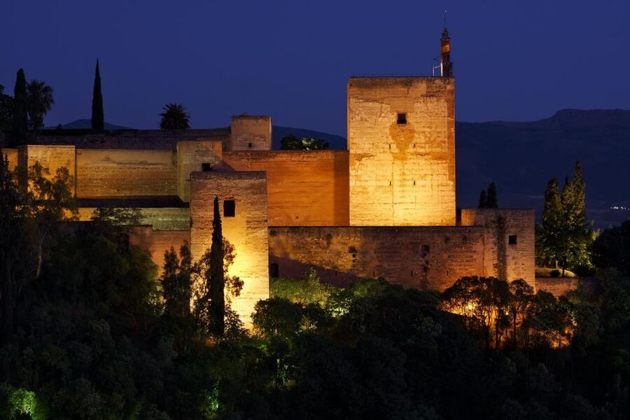 Granada: Alhambra Night Visit Entry Ticket - Crowds, Group Size, and the Missing Guide