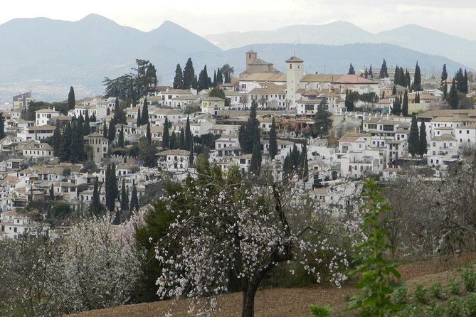 Granada Day Trip: Alhambra & Nazaries Palaces from Seville - The Alhambra gardens and the practical walking
