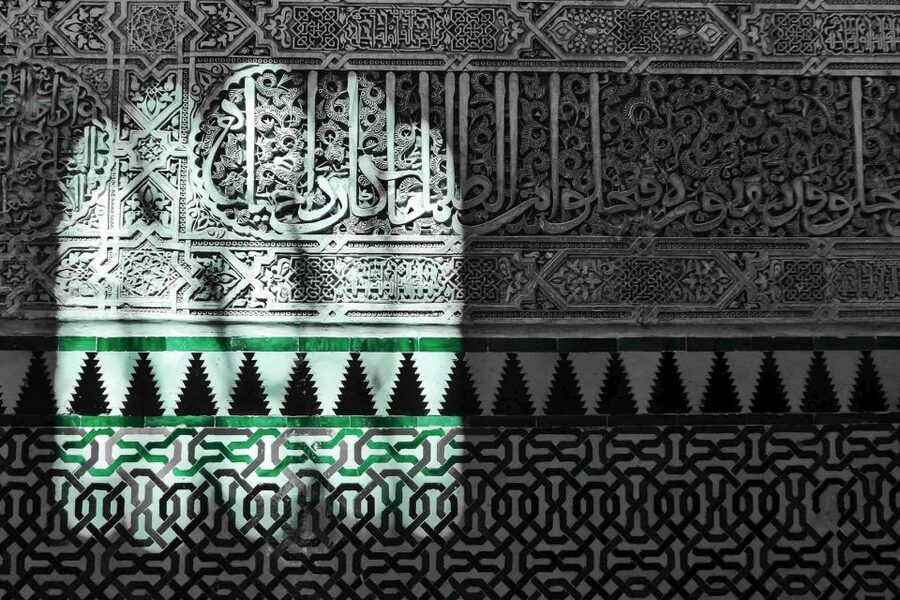 Granada: Fast-Track Alhambra & Nasrid Palaces Guided Tour - The Nasrid Palaces and the Courtyard of the Lions
