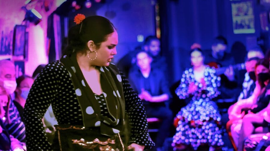 Granada: Flamenco Show at Cueva de la Rocío - What happens during the one-hour show