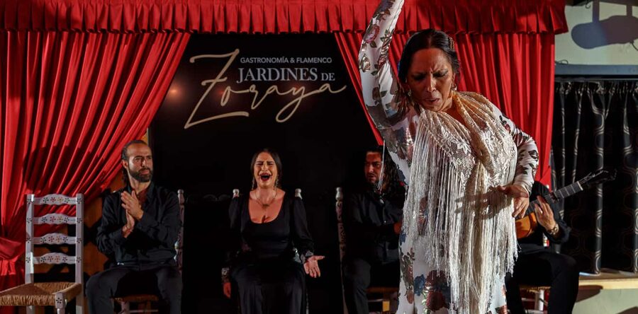 Granada: Flamenco Show in Albaycin - Jardines de Zoraya - Who Will Enjoy Jardines de Zoraya Most