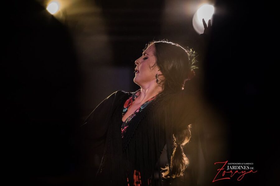 Granada: Flamenco Show in Albaycin - Jardines de Zoraya - Arriving Early and Settling Into Your Seat