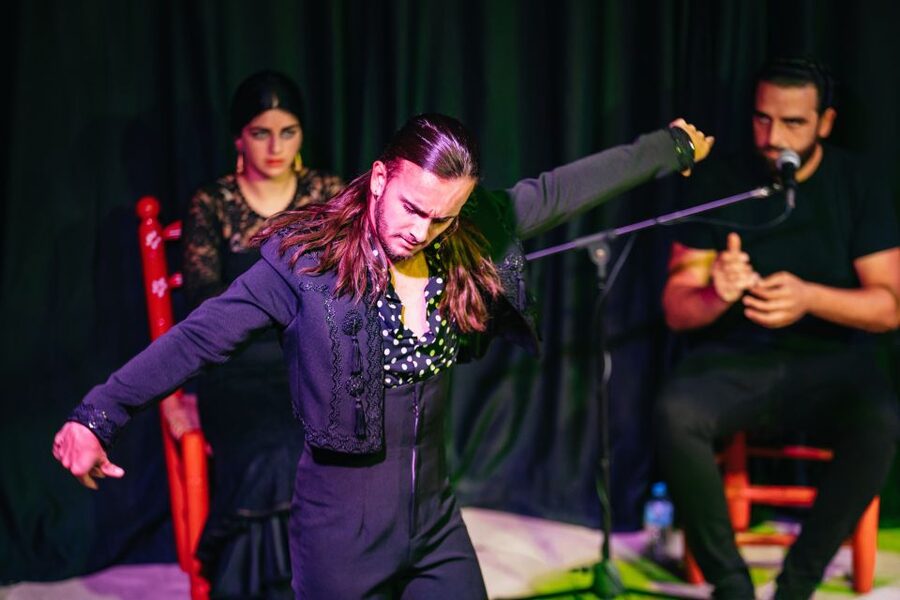 Granada: Flamenco Show in La Alboreá - How La Alboreá compares with larger flamenco venues