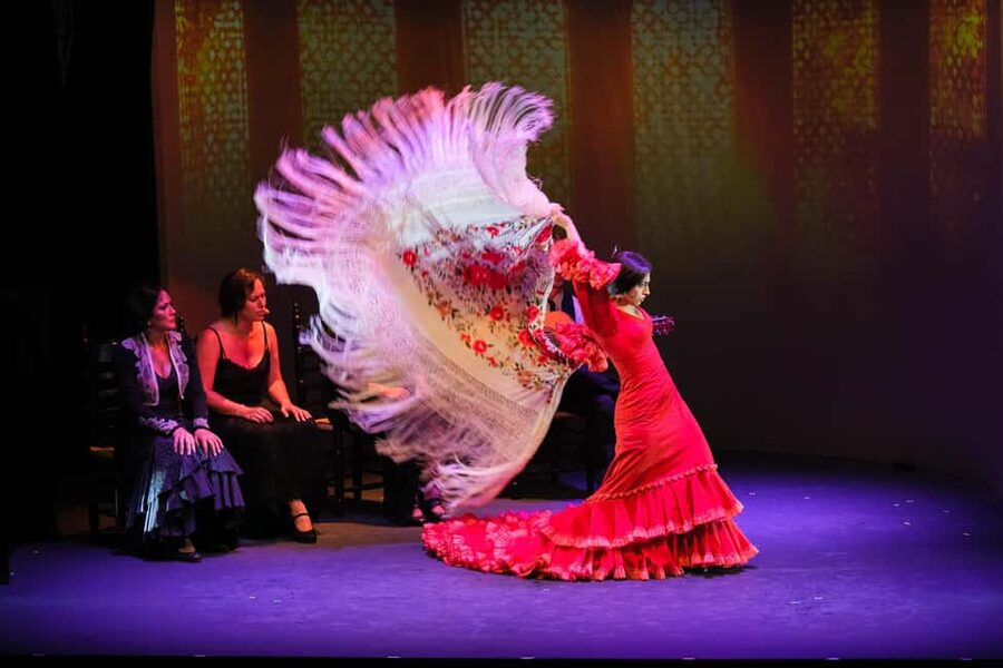 Granada: Flamenco Show "Sensaciones" at the Flamenco Theater Granada - The Dance: Footwork, Costumes, and Story Without Words