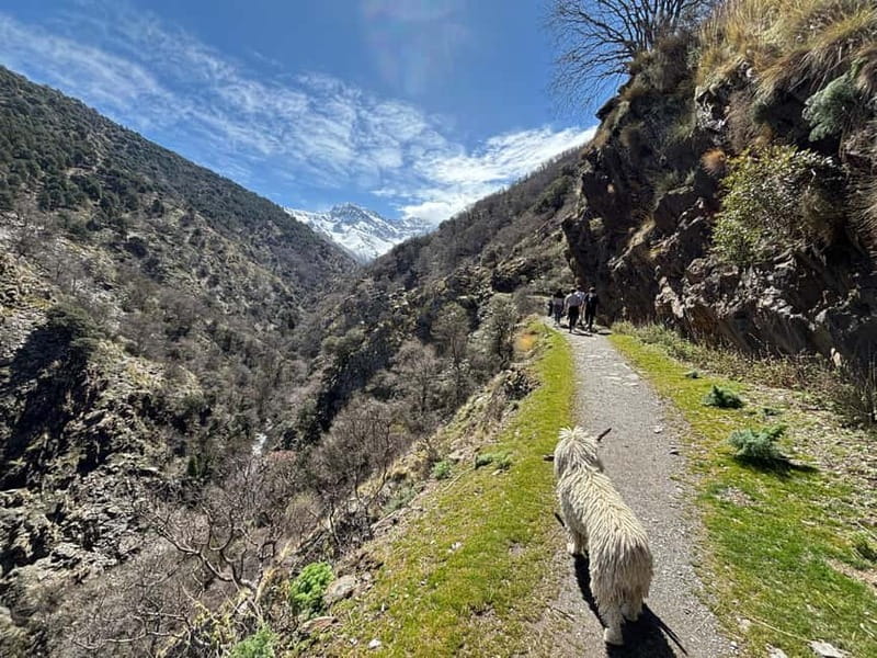 Granada: High Sierra Nevada Hiking Tour to 3000 Meters - Key points at a glance