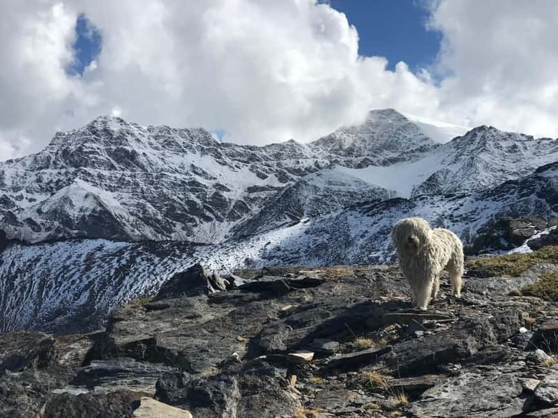 Granada: High Sierra Nevada Hiking Tour to 3000 Meters - Mountain goats, eagles, and small high-altitude life