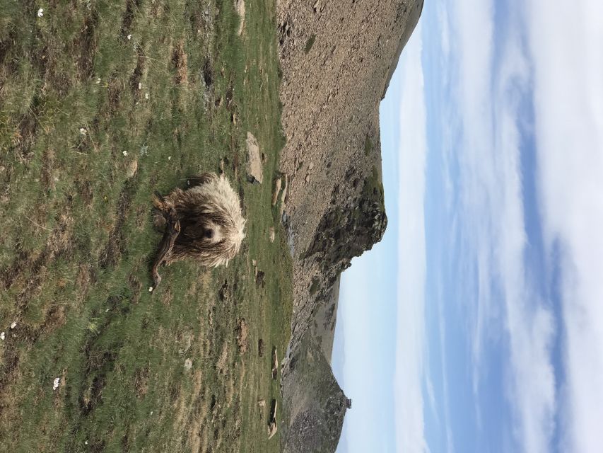 Granada: High Sierra Nevada Hiking Tour to 3000 Meters - What the $50 price gets you