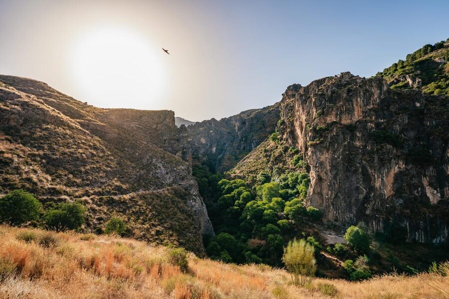 Granada: Los Cahorros de Monachil Canyon Hiking Tour - Suspension bridges bring the first burst of excitement