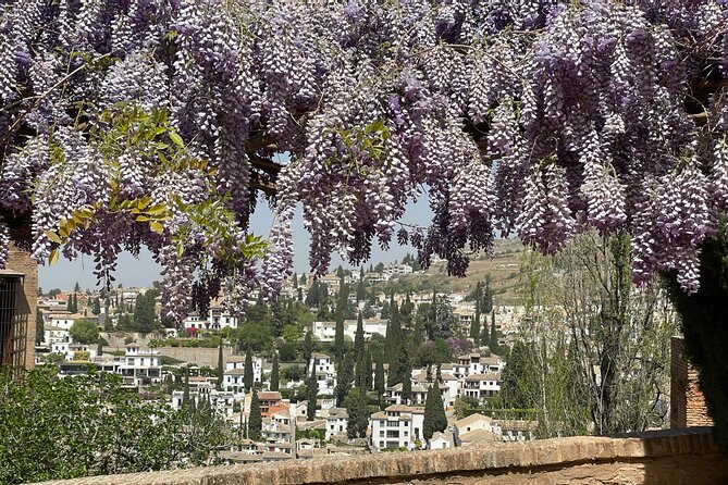 Granada : Private Alhambra Tour + Nazaries Palaces (VIP) - Generalife gardens: 90 minutes among fountains and courtyards