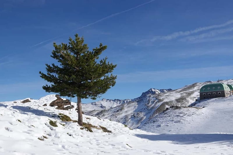 Granada: Sierra Nevada Safari Tour to 2500 m with a Drink - Following the Camino de los Neveros