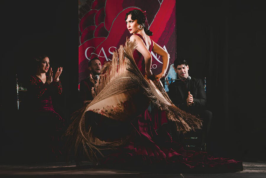 Granada: Traditional Flamenco Show at Tablao Casa Ana - The small hall and the question of seating