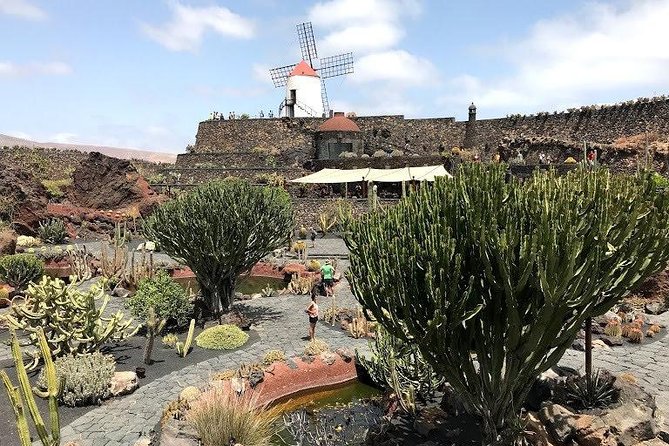 Grand Tour Lanzarote Experience : The Landscape Footprint - Why this tour works well without a rental car