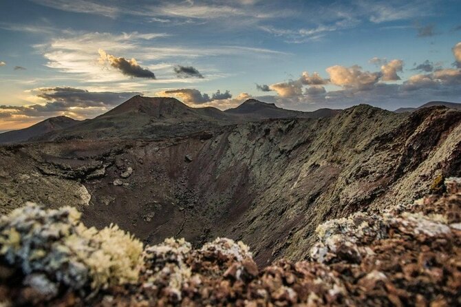 Grand Tour Lanzarote Experience : The Landscape Footprint - The Cactus Garden: Manrique’s softer side