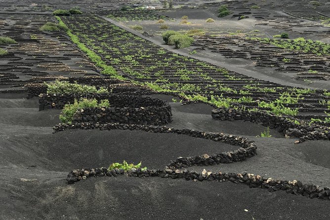 Grand Tour Lanzarote Experience : The Landscape Footprint - Cueva de los Verdes and Jameos del Agua