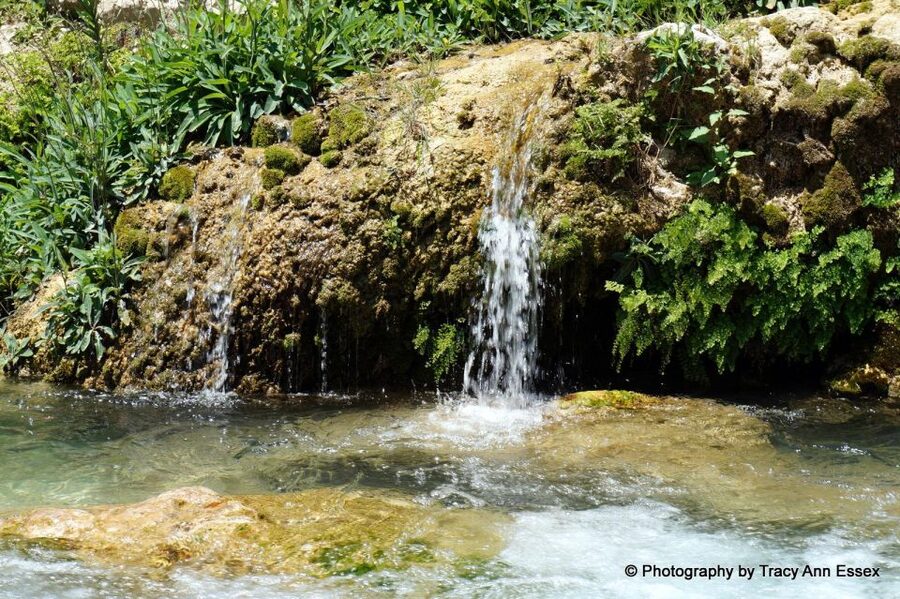 Guadalest & Algar Falls Tour - From Albir, Benidorm & Calpe - Why this Costa Blanca day trip works