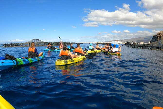 Guided Kayak Tour From Los Cristianos Beach Tenerife - Key points to know before booking