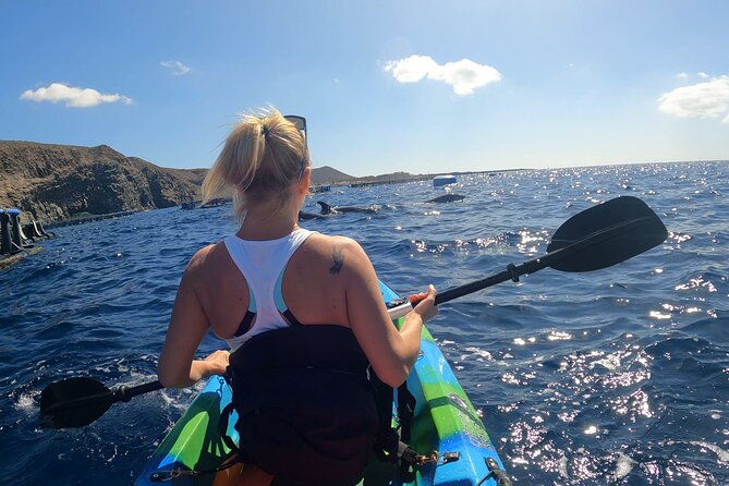 Guided Kayak Tour From Los Cristianos Beach Tenerife - Snorkeling among the fish