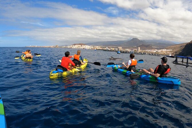 Guided Kayak Tour From Los Cristianos Beach Tenerife - Is $54.44 good value?