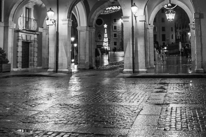 guided night tour - The Antonio Pérez Foundation Museum and a former palace