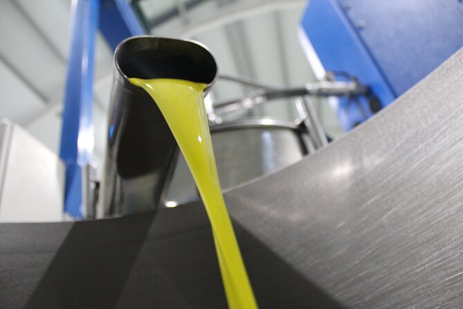 Guided tour and olive oil tasting in Alhaurin el Grande (Málaga) - Finding Aceites Molisur near Alhaurín el Grande