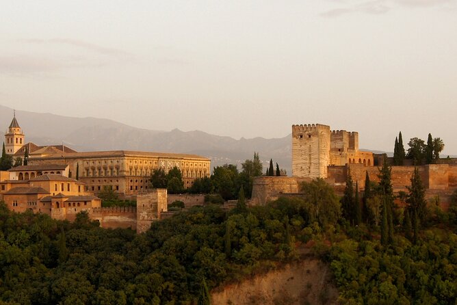 Guided tour of Alhambra and Generalife with Nasrid Palaces - Nasrid Palaces: the hour that shapes the visit
