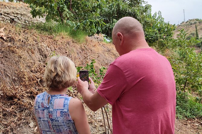 Guided Tour to the only coffee farm in Europe - Manolo Mateos brings the farm to life